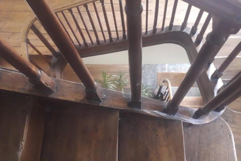 Magnifique Maison De Maitre Du 18E Avec Jardin Люс-Сен-Совёр Экстерьер фото
